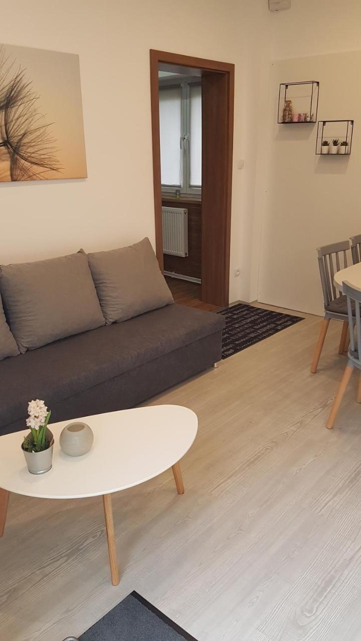 Apartment Pension Stark Frantiskovy Lazne Exterior foto